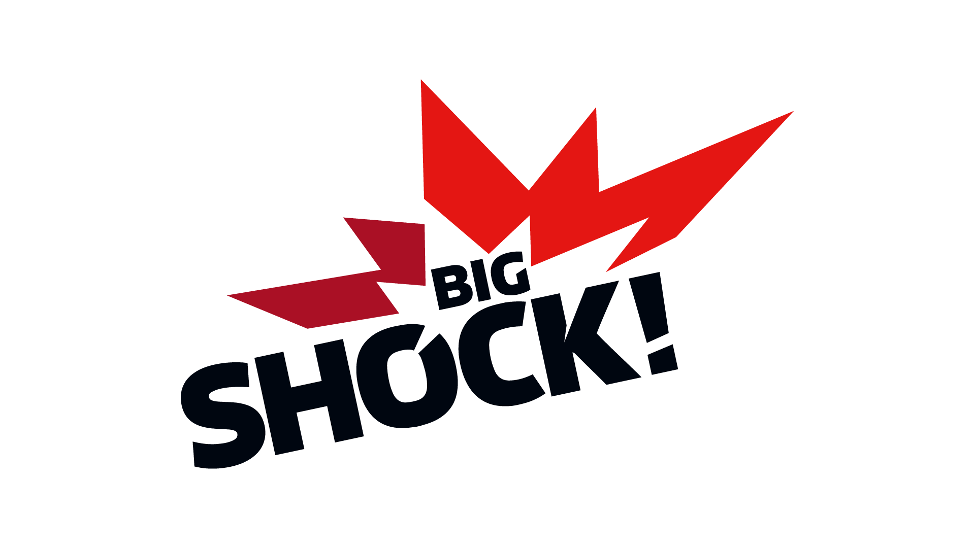 logo bigshock white bg