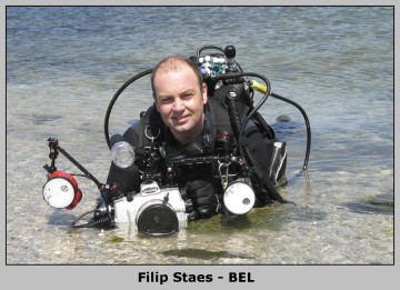 filip-staes-bel.jpg