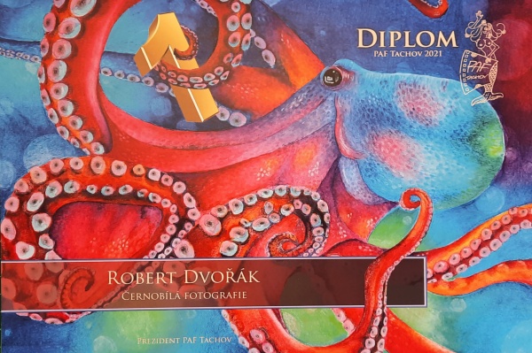 Diplom 2021
