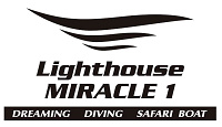 Lighthouse Miracle1