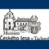 muzeum thumb